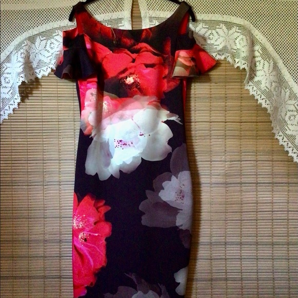 Frank Lyman NWT water color floral print, lovely dress - Picture 12 of 16